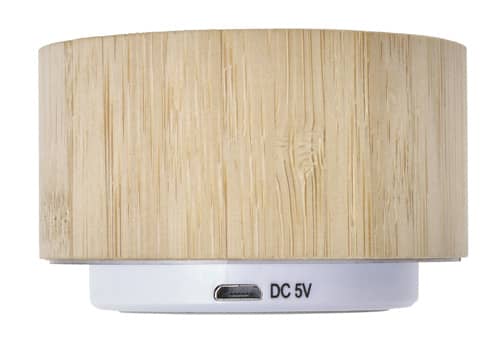 Bamboo speaker