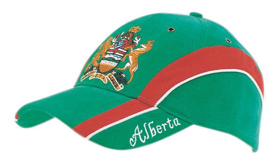 Brushed Heavy Cotton with Embroidered Peak Insert