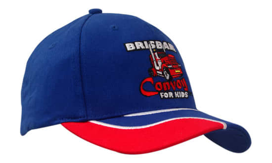 Brushed Heavy Cotton with Insert/Embroidery on Peak