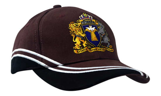 Brushed Heavy Cotton with Inserts/Embroidery on Crown & Peak