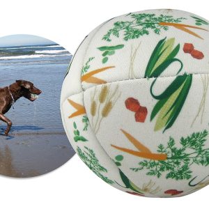 Pet Ball