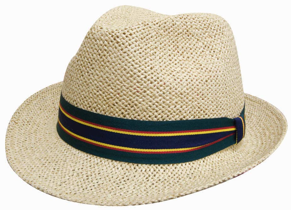 Fedora Style String Straw