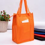 Non Woven Cooler Bag with Top Zip Closure