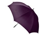 Promo 30" Auto Golf Umbrella
