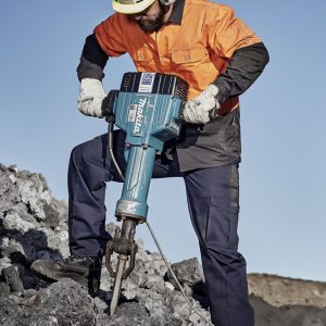 Mens Basic Cargo Pant (Regular)