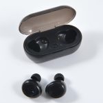 Black Tempest TWS Earbuds displayed in a charging case with a transparent lid. The case has a logo.