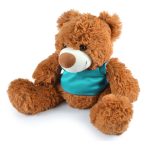 A brown plush teddy bear with a turquoise shirt, featuring soft, fluffy fur and large paws.