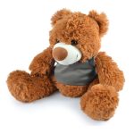 A plush teddy bear named Coco, featuring soft brown fur and a gray vest.