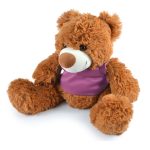 A plush teddy bear named Coco, featuring a fluffy brown exterior and wearing a purple vest.