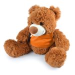 A plush teddy bear with fluffy orange fur and a white face, wearing an orange vest. The bear is sitting with outstretched arms.
