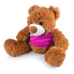 A plush teddy bear with a fluffy brown exterior and a round white nose, wearing a bright purple vest.