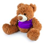 A plush teddy bear with fluffy brown fur and a purple shirt.