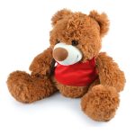A plush teddy bear with a brown fur coat and a red vest, featuring a round snout and large paws.