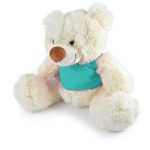 A Coconut Plush Teddy Bear featuring a soft cream-colored body and a turquoise shirt.