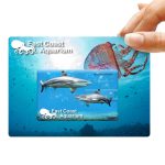 A promotional credit card-shaped flash drive featuring a blue underwater scene with sharks and jellyfish, including a logo.